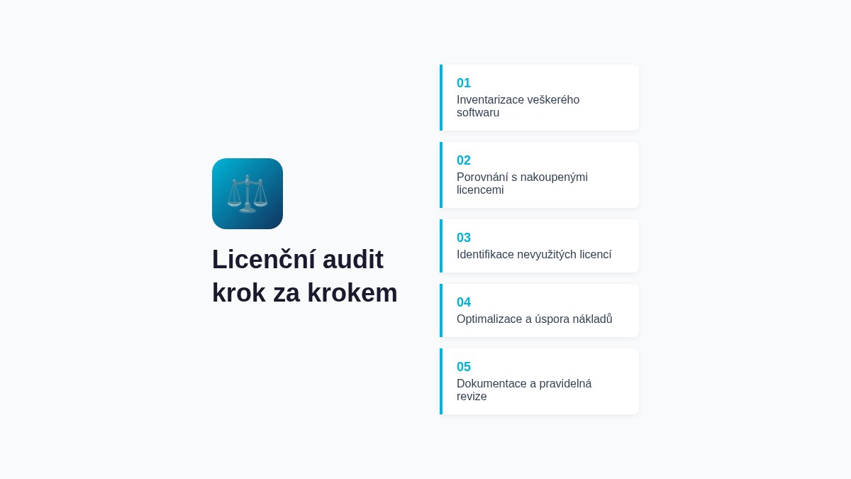 Licenční audit krok za krokem – 5 kroků k přehledu o firemních licencích