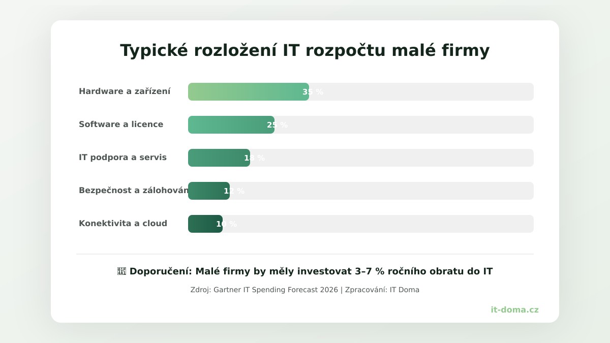 IT audit odhalí rozložení IT nákladů a pomůže optimalizovat rozpočet malé firmy