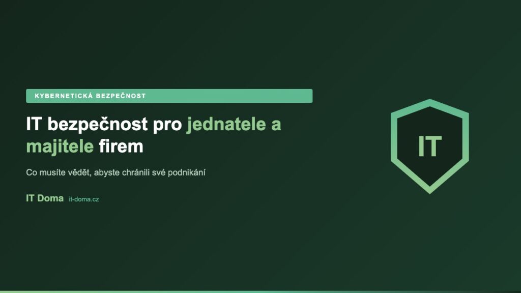 IT bezpečnost pro jednatele a majitele firem - klíčové oblasti kybernetické bezpečnosti