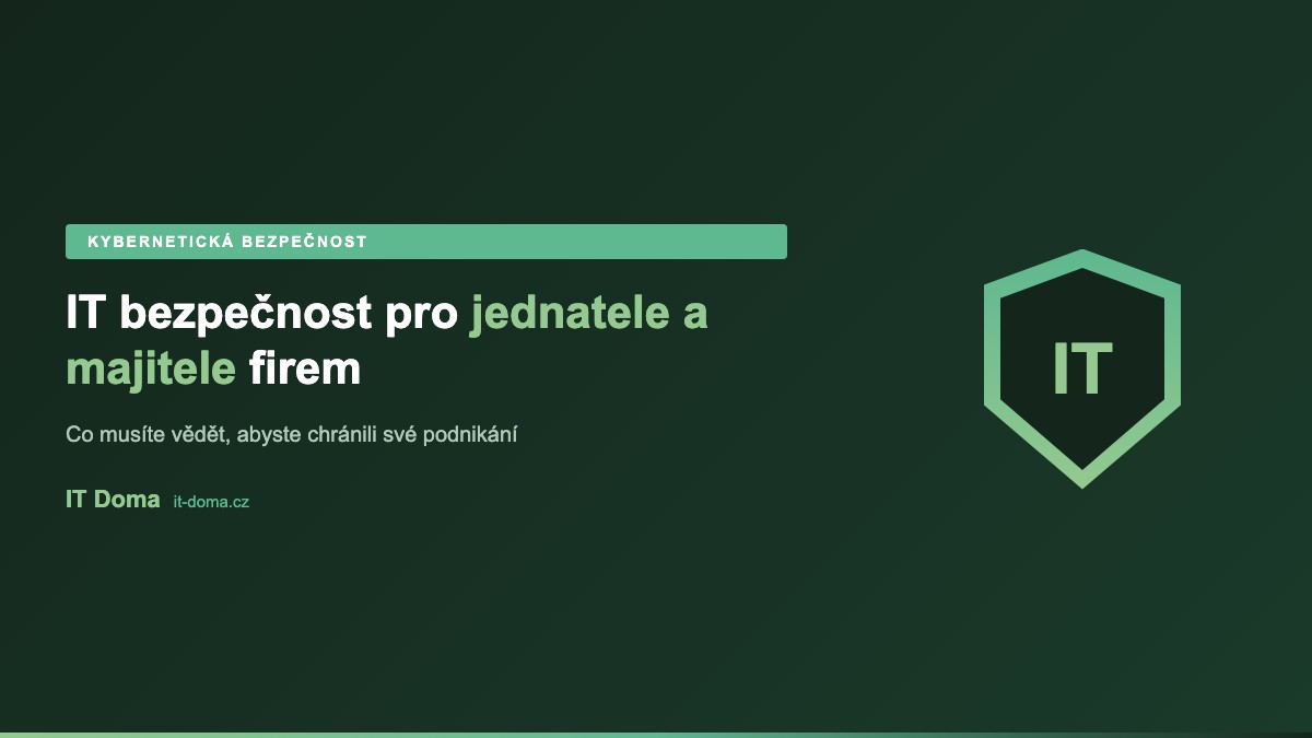 IT bezpečnost pro jednatele a majitele firem - klíčové oblasti kybernetické bezpečnosti
