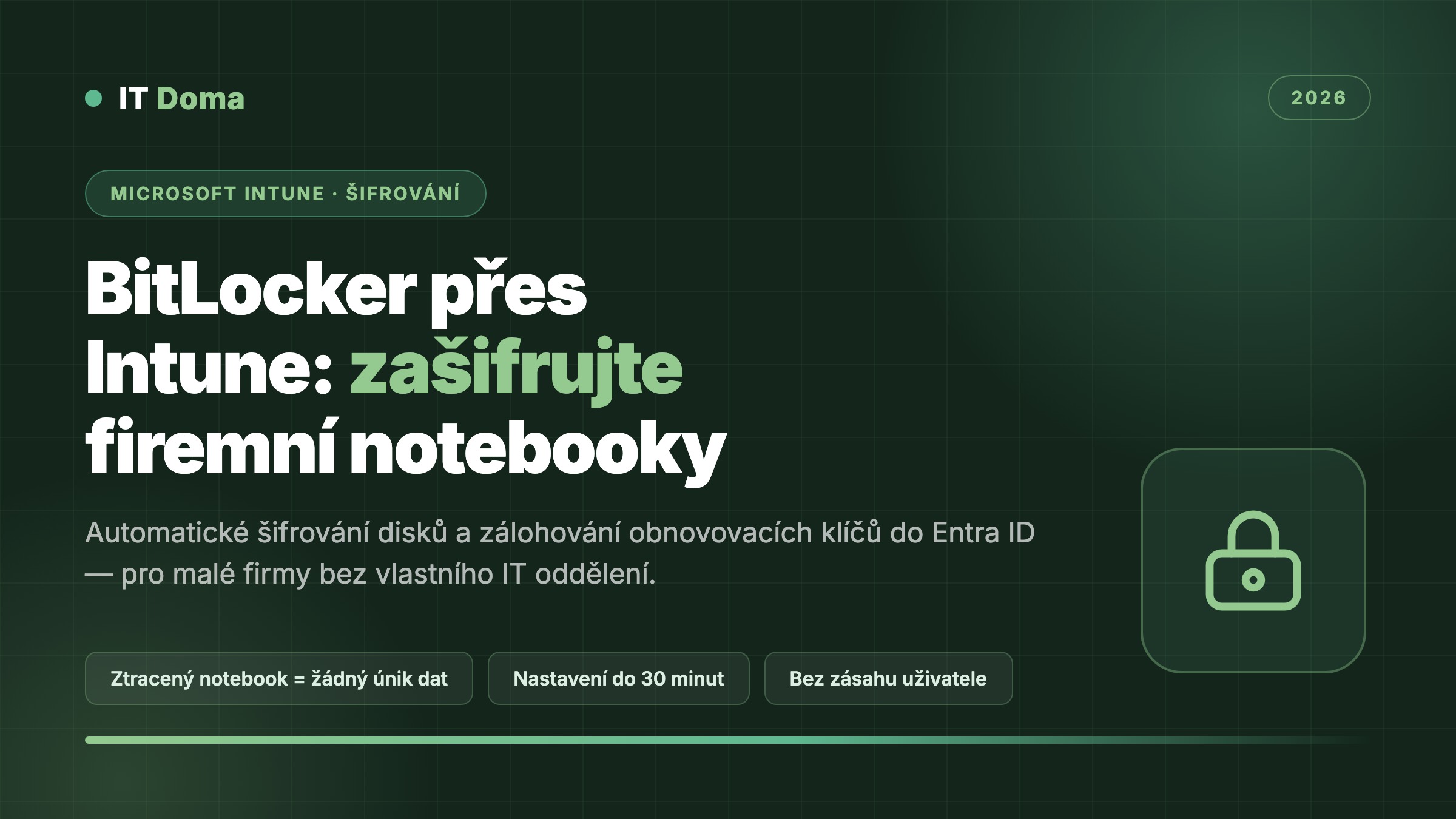 BitLocker přes Microsoft Intune – šifrování disků firemních notebooků pro malé firmy 2026
